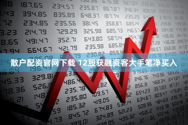散户配资官网下载 12股获融资客大手笔净买入